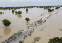 31 dead, 5,280 houses destroyed in Kano flood