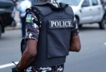 NEC directs states to submit reports on state police by September 9