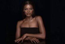 Chidinma Adetshina recounts how she felt on her first visit to Nigeria amid dual citizenship row