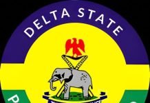 Delta Police Arrest 11 More Over Ozoro Sex Assaults, Total Held Now 15