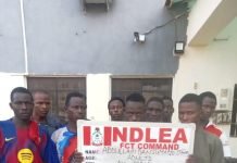 NDLEA dismantles Abuja drug bunks, arrests 132, recovers 220kg illicit substances