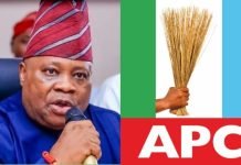 Missing Security Drones: APC Demands Answers From Gov Adeleke