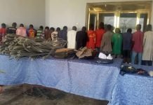 Yobe Police Arrest 448 Suspects, Achieve 152 Convictions in One Year